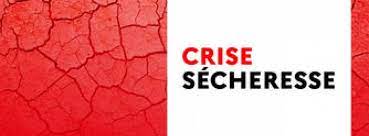 Sécheresse : crise !