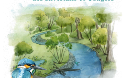 Guide pratique des riverains et usagers d’un cours d’eau